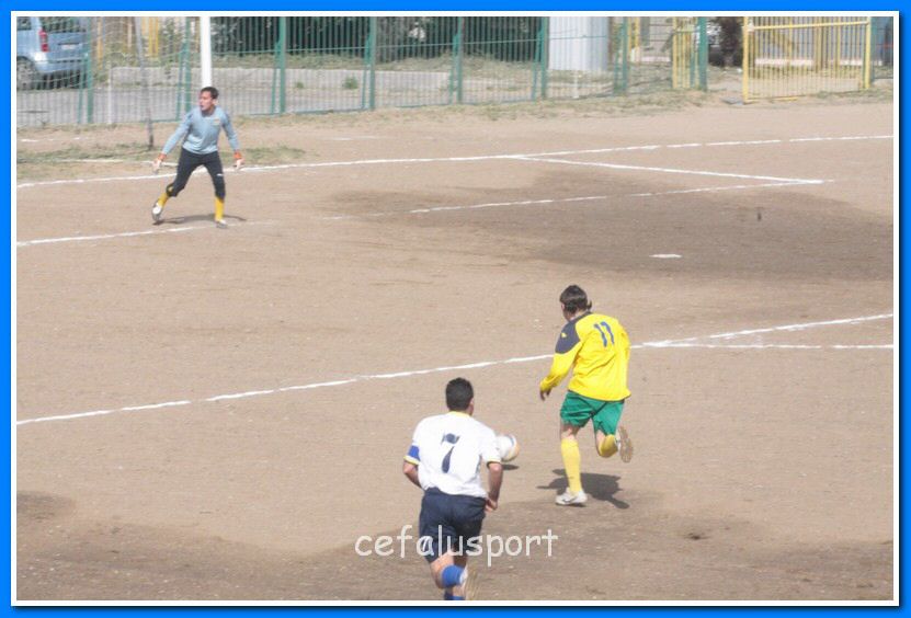 130406 delfini 012_tn.jpg